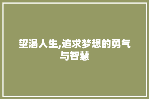 望渴人生,追求梦想的勇气与智慧