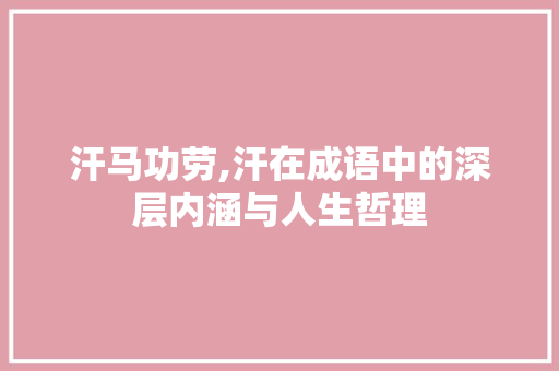 汗马功劳,汗在成语中的深层内涵与人生哲理