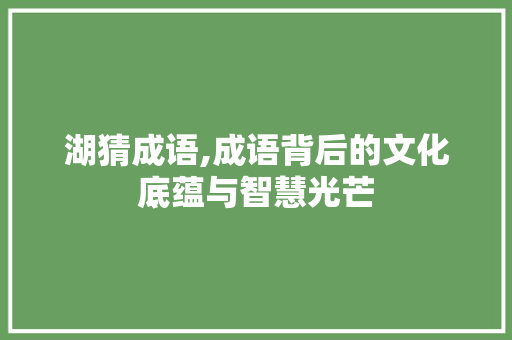 湖猜成语,成语背后的文化底蕴与智慧光芒