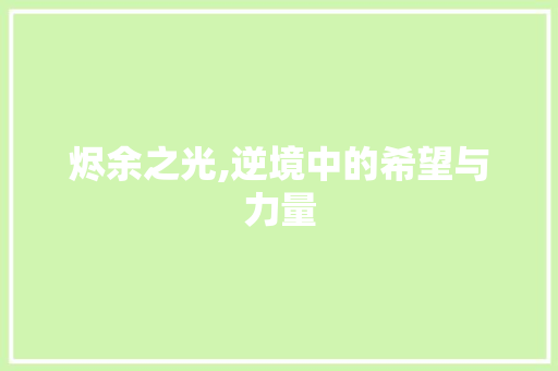 烬余之光,逆境中的希望与力量