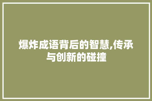 爆炸成语背后的智慧,传承与创新的碰撞