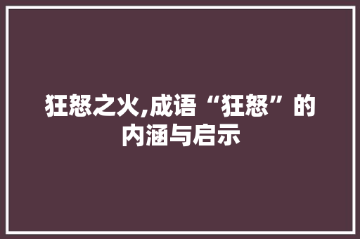 狂怒之火,成语“狂怒”的内涵与启示 工作总结