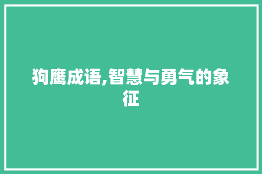 狗鹰成语,智慧与勇气的象征