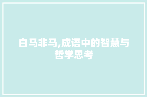 白马非马,成语中的智慧与哲学思考