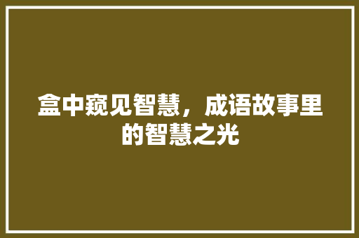 盒中窥见智慧，成语故事里的智慧之光