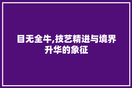目无全牛,技艺精进与境界升华的象征