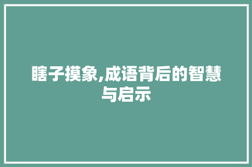 瞎子摸象,成语背后的智慧与启示