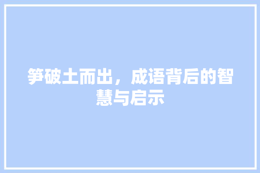 笋破土而出，成语背后的智慧与启示