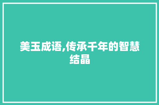 美玉成语,传承千年的智慧结晶 国学经典