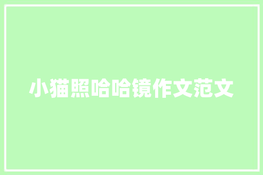 篮球之魂,探索篮球运动的魅力与价值