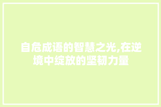 自危成语的智慧之光,在逆境中绽放的坚韧力量