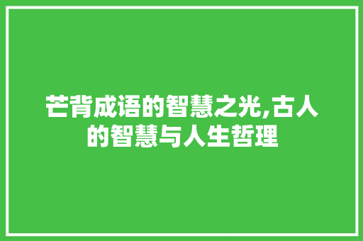 芒背成语的智慧之光,古人的智慧与人生哲理