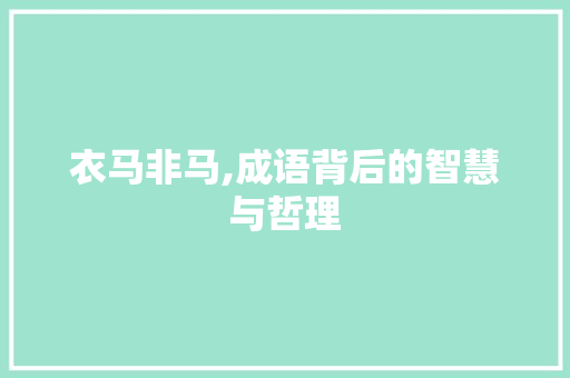 衣马非马,成语背后的智慧与哲理