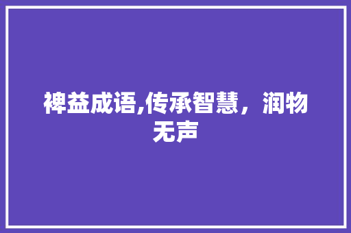 裨益成语,传承智慧，润物无声