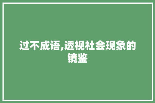 过不成语,透视社会现象的镜鉴