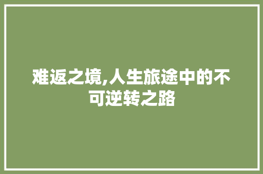 难返之境,人生旅途中的不可逆转之路