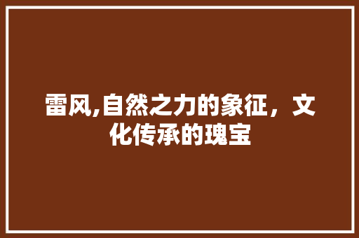 雷风,自然之力的象征，文化传承的瑰宝