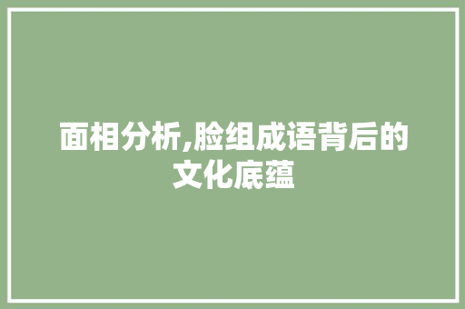 面相分析,脸组成语背后的文化底蕴 个人简历