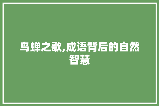 鸟蝉之歌,成语背后的自然智慧