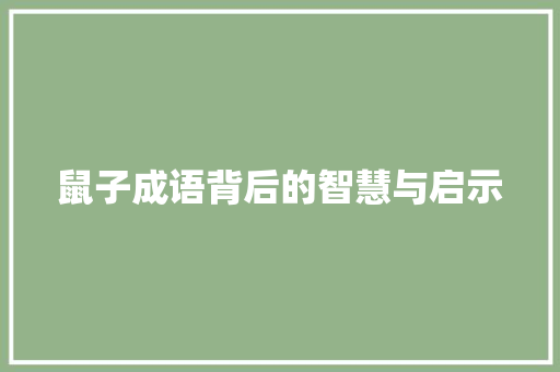 鼠子成语背后的智慧与启示