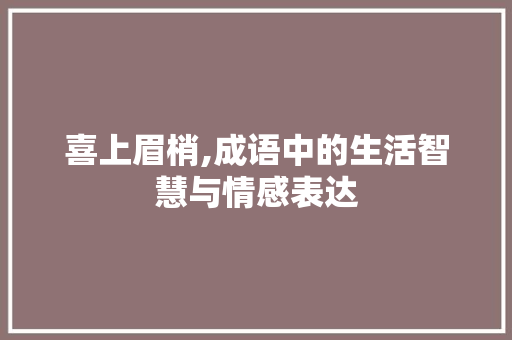 喜上眉梢,成语中的生活智慧与情感表达