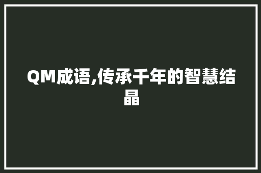 QM成语,传承千年的智慧结晶