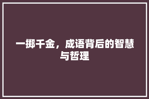 一掷千金，成语背后的智慧与哲理