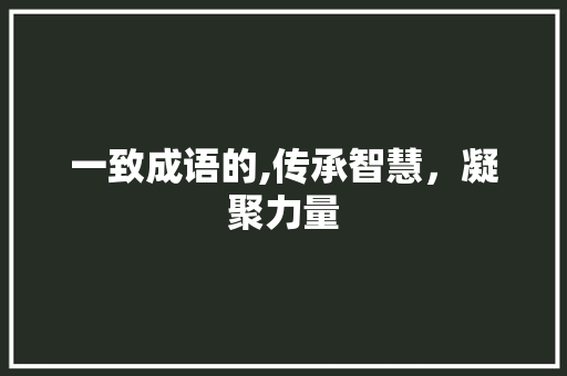 一致成语的,传承智慧，凝聚力量 个人简历