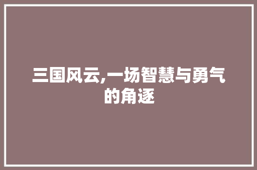 三国风云,一场智慧与勇气的角逐