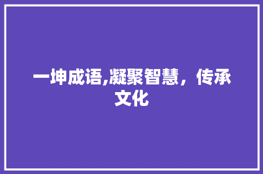 一坤成语,凝聚智慧，传承文化
