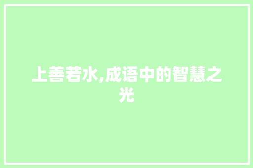 上善若水,成语中的智慧之光