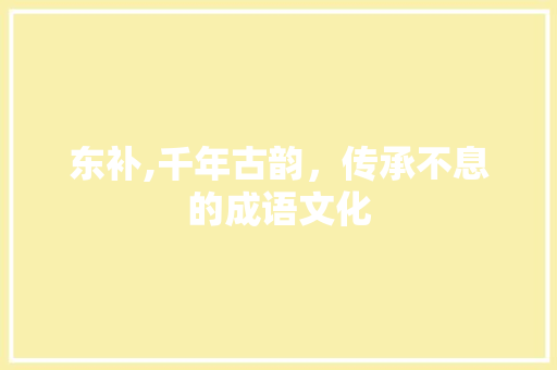 东补,千年古韵，传承不息的成语文化
