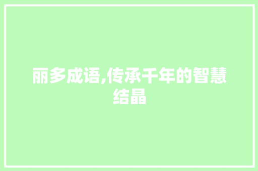 丽多成语,传承千年的智慧结晶