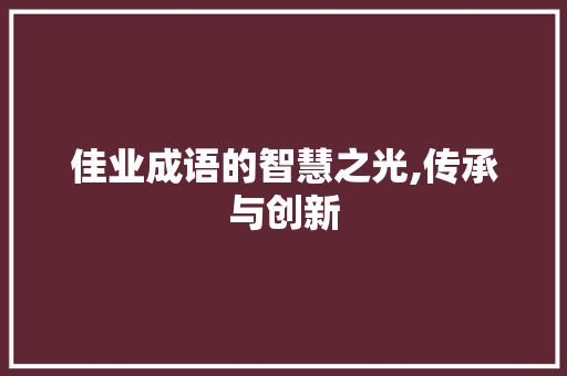 佳业成语的智慧之光,传承与创新