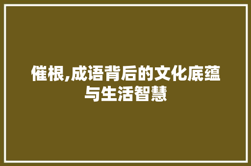 催根,成语背后的文化底蕴与生活智慧