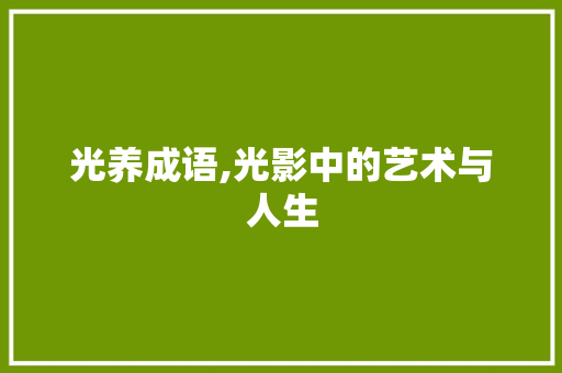 光养成语,光影中的艺术与人生