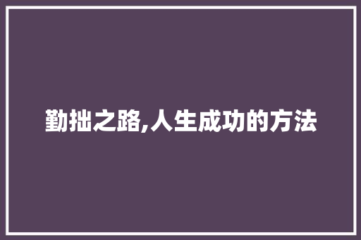 勤拙之路,人生成功的方法