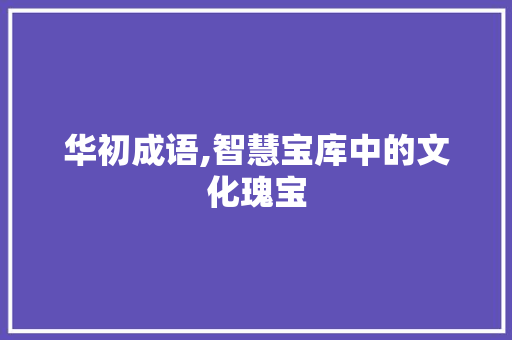 华初成语,智慧宝库中的文化瑰宝