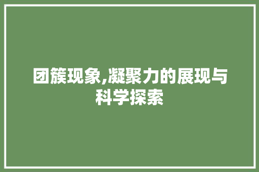 团簇现象,凝聚力的展现与科学探索