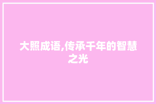 大照成语,传承千年的智慧之光