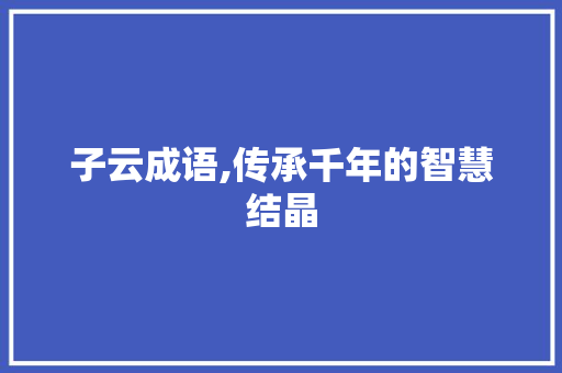 子云成语,传承千年的智慧结晶