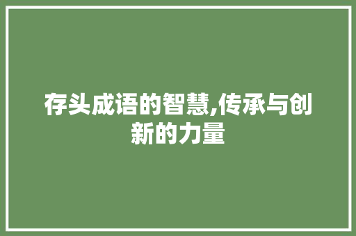 存头成语的智慧,传承与创新的力量