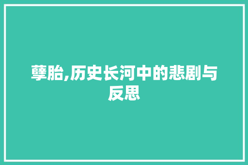 孽胎,历史长河中的悲剧与反思