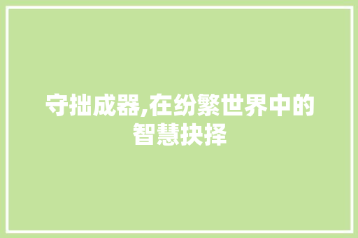 守拙成器,在纷繁世界中的智慧抉择