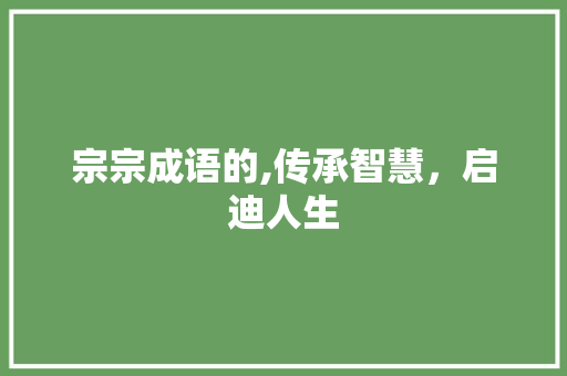 宗宗成语的,传承智慧，启迪人生