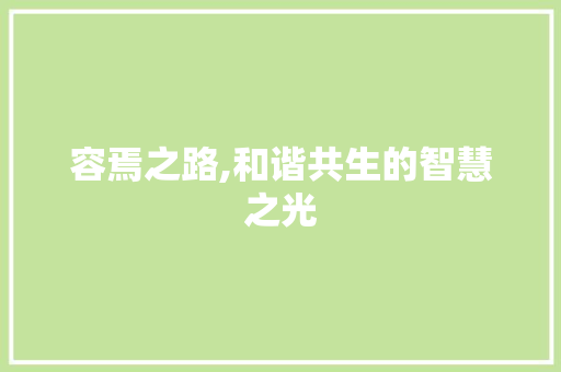 容焉之路,和谐共生的智慧之光