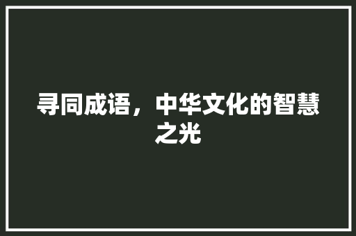 寻同成语，中华文化的智慧之光
