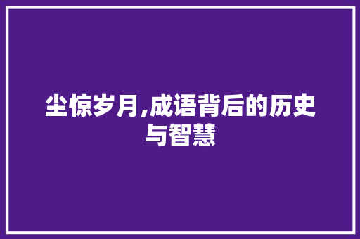 尘惊岁月,成语背后的历史与智慧