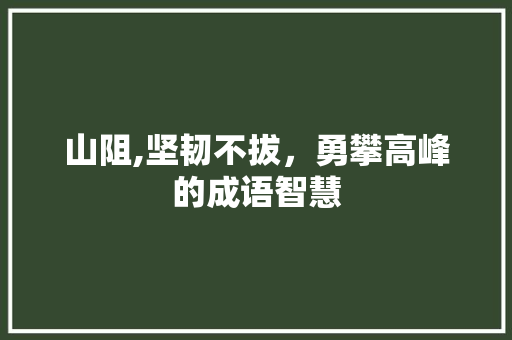 山阻,坚韧不拔，勇攀高峰的成语智慧