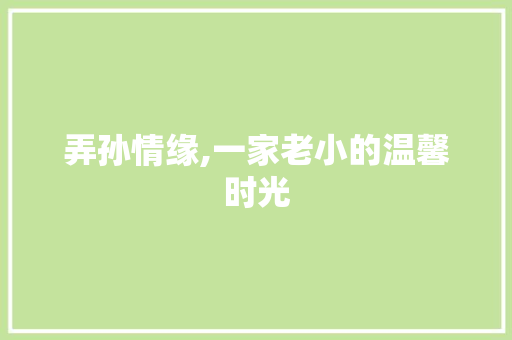 弄孙情缘,一家老小的温馨时光